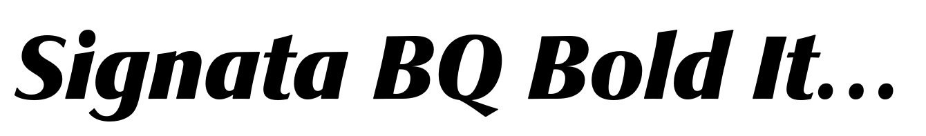 Signata BQ Bold Italic